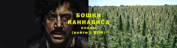 spice Балабаново