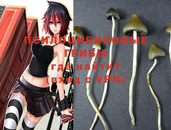 мяу мяу мука Баксан