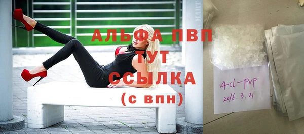 мяу мяу мука Баксан